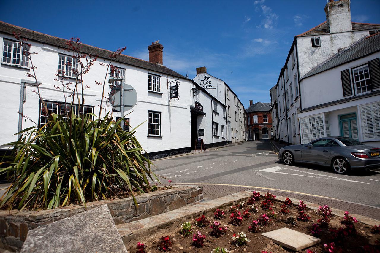 The Tree Inn Bude Dış mekan fotoğraf