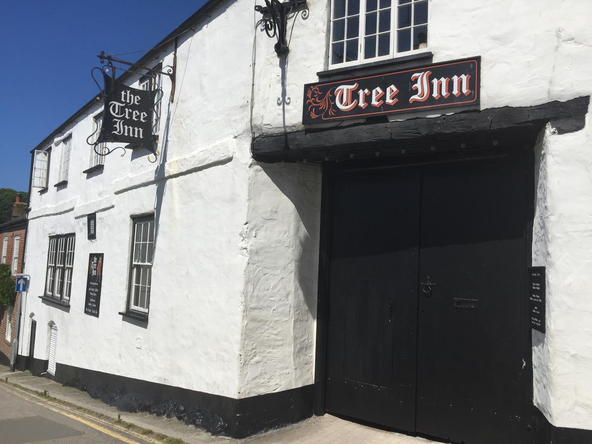 The Tree Inn Bude Dış mekan fotoğraf