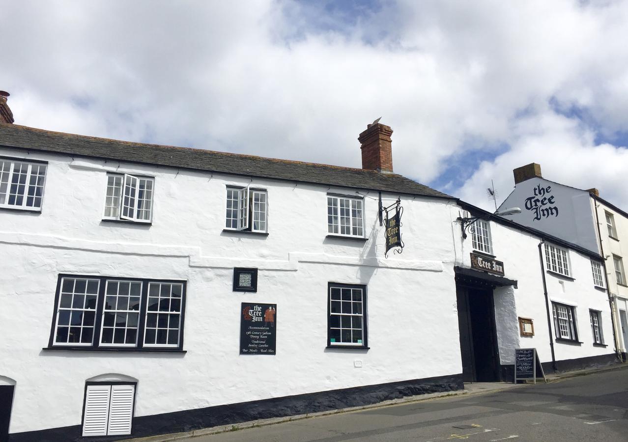 The Tree Inn Bude Dış mekan fotoğraf
